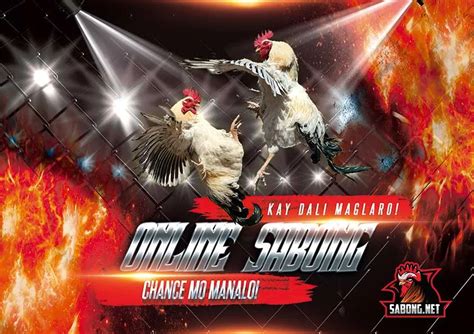 sabong net|sabong nation net.
